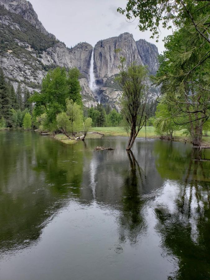 Yosemite Foothill Retreat - Private Guest Suite #3 コアーシーゴールド エクステリア 写真