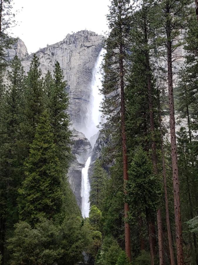 Yosemite Foothill Retreat - Private Guest Suite #3 コアーシーゴールド エクステリア 写真