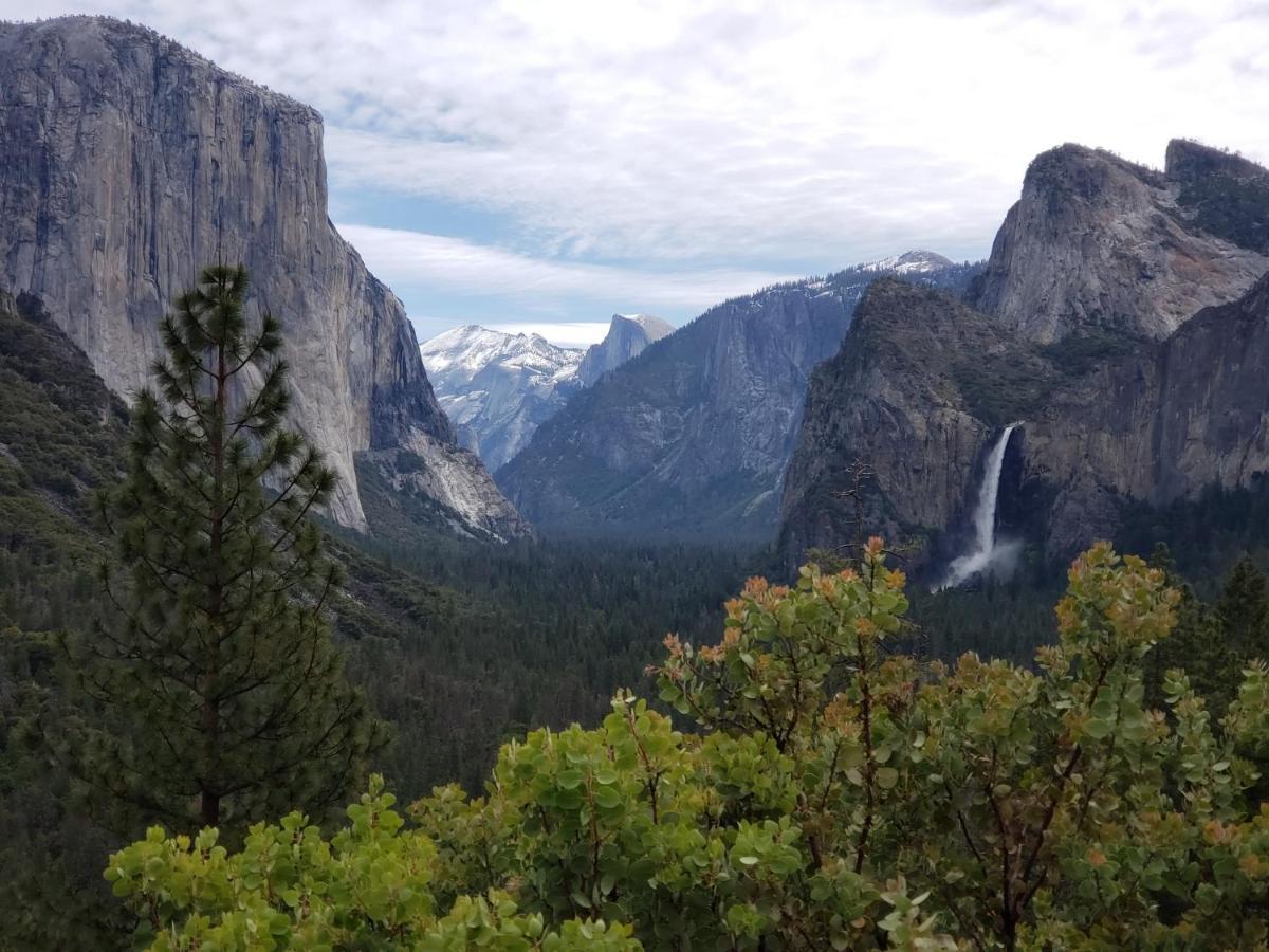Yosemite Foothill Retreat - Private Guest Suite #3 コアーシーゴールド エクステリア 写真