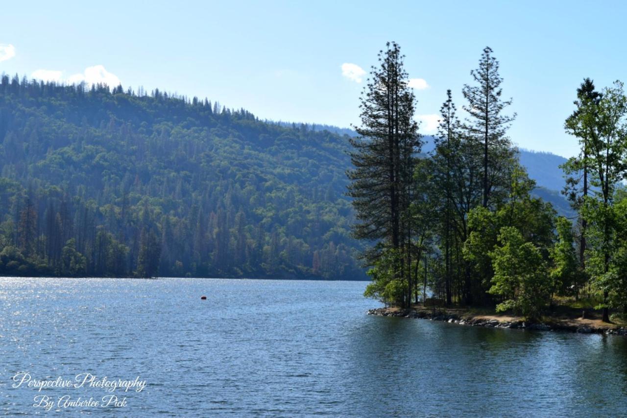 Yosemite Foothill Retreat - Private Guest Suite #3 コアーシーゴールド エクステリア 写真
